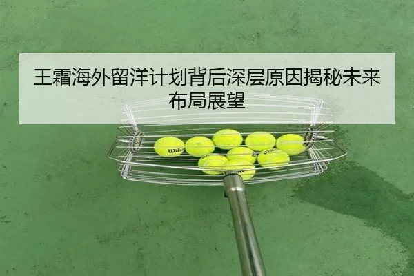 王霜海外留洋计划背后深层原因揭秘未来布局展望